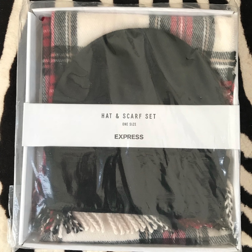 New! EXPRESS Hat and Scarf Set
